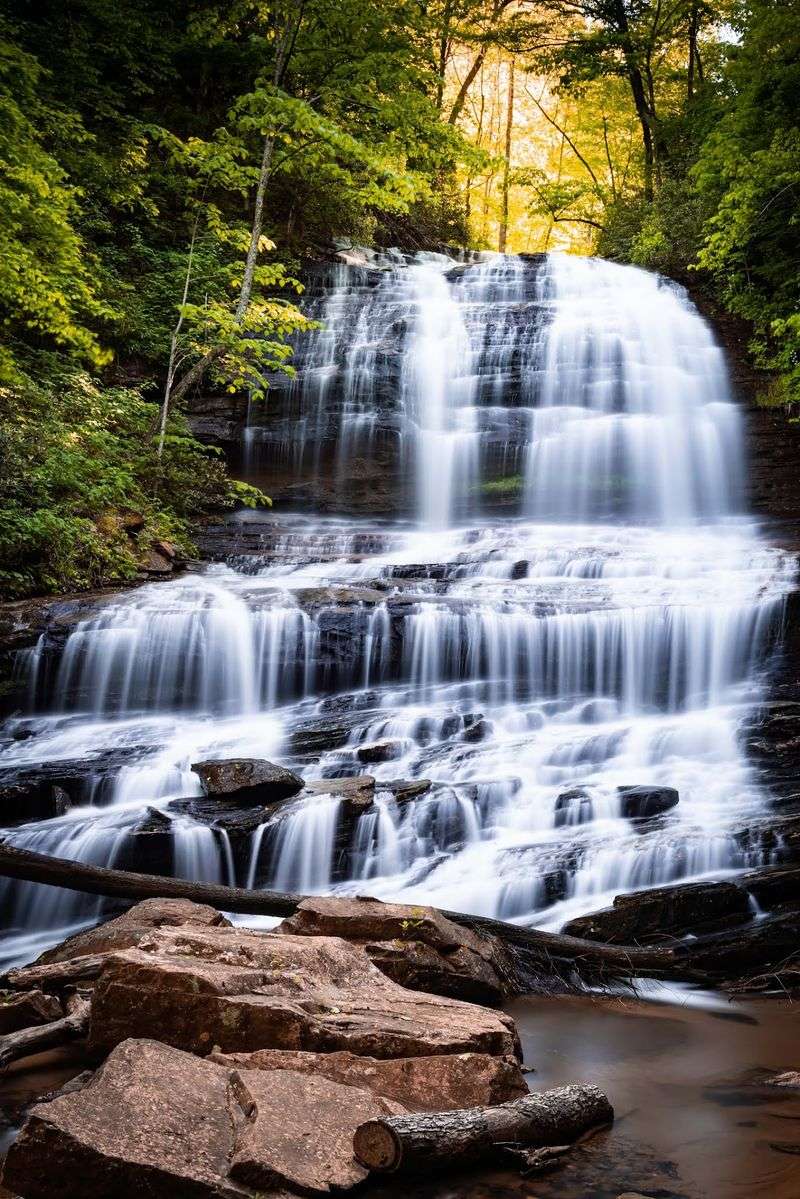 Pearson's Falls And Its Wildflower Glen