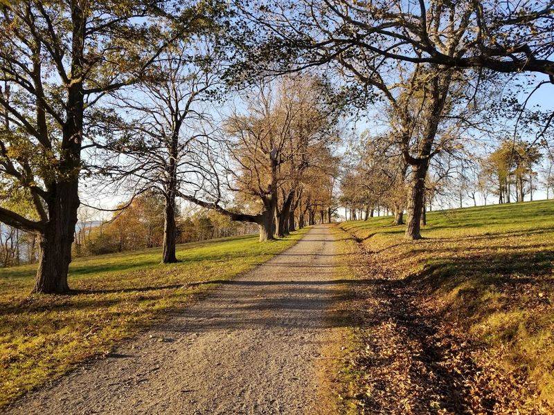 Finding Solitude Along Hingham's Edge