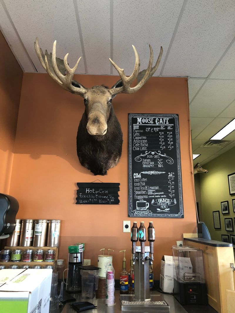Coffee, Boba, And Kombucha Under One Roof