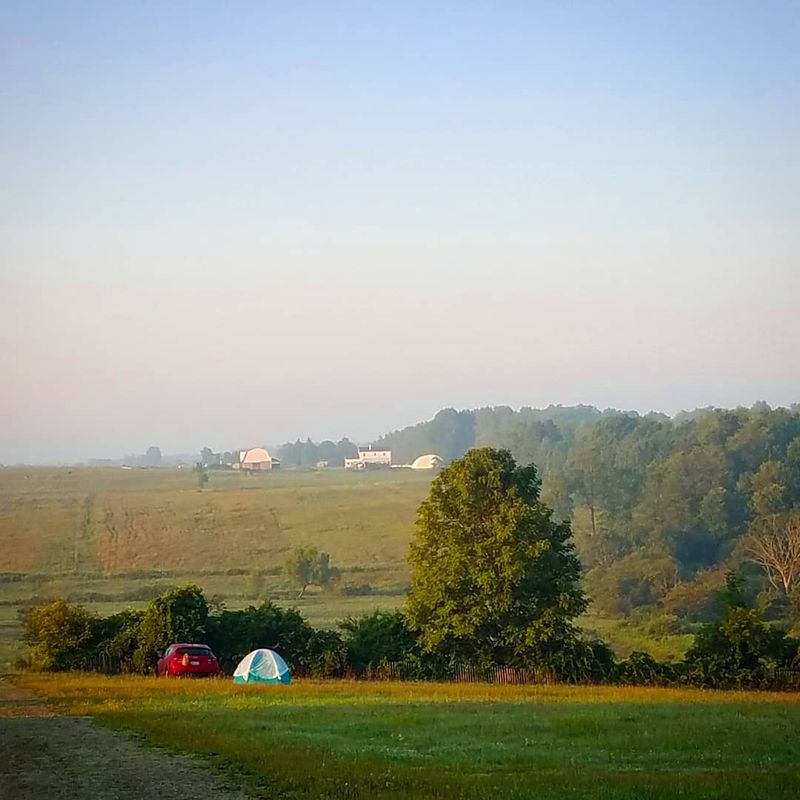 Farm Camping That Actually Delivers