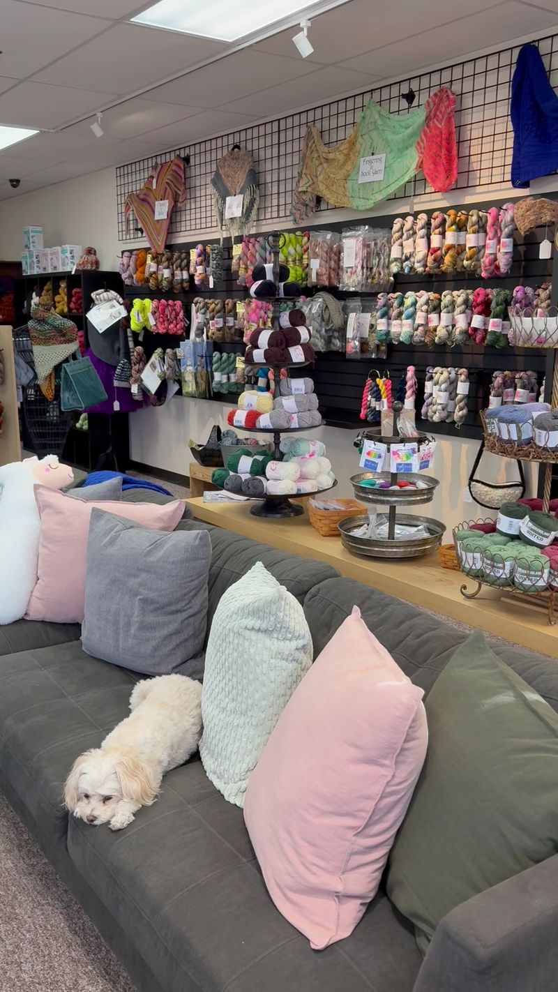 Woolly Llama Yarns, Minden
