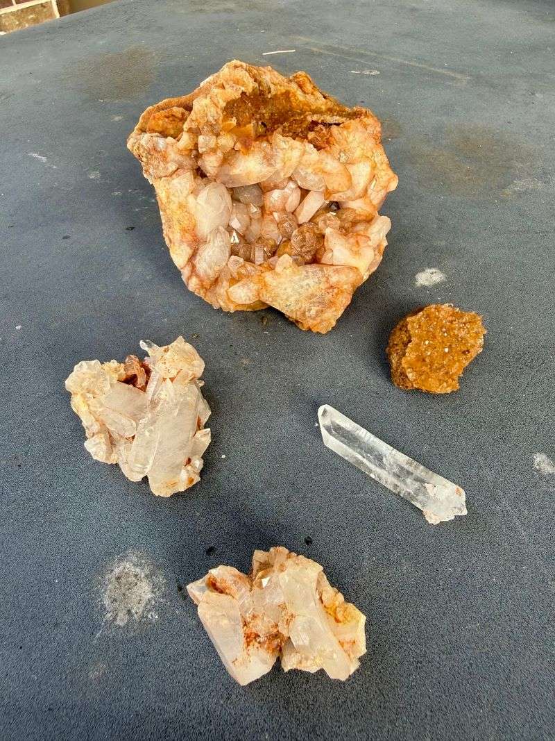 What You'll Actually Find In The Dirt
