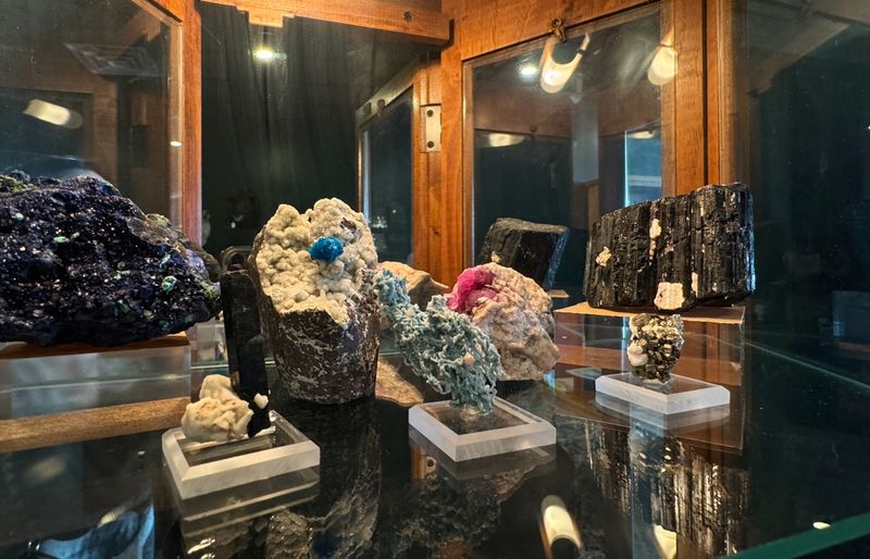 Curio Cabinet Of The Hudson Valley