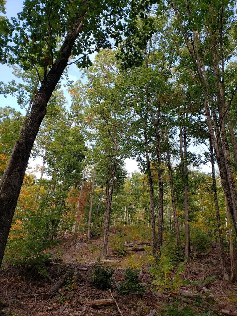 Choosing Your Trail Route