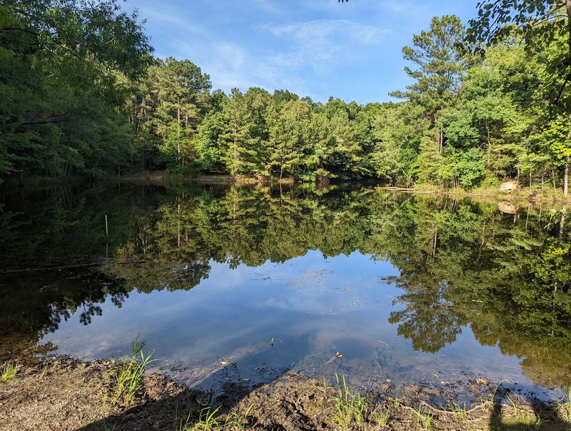 Land Between The Lakes National Recreation Area
