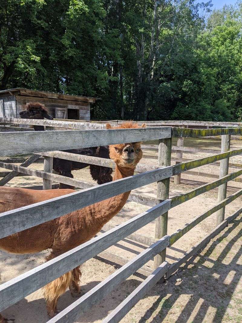 A Roadside Stop That Doubles As A Farm Visit