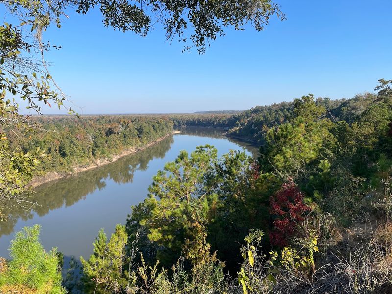 Garden Of Eden Trail At The Apalachicola Bluffs And Ravines Preserve