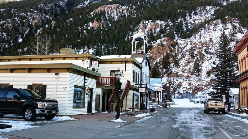 How Tick Reports Work In Colorado