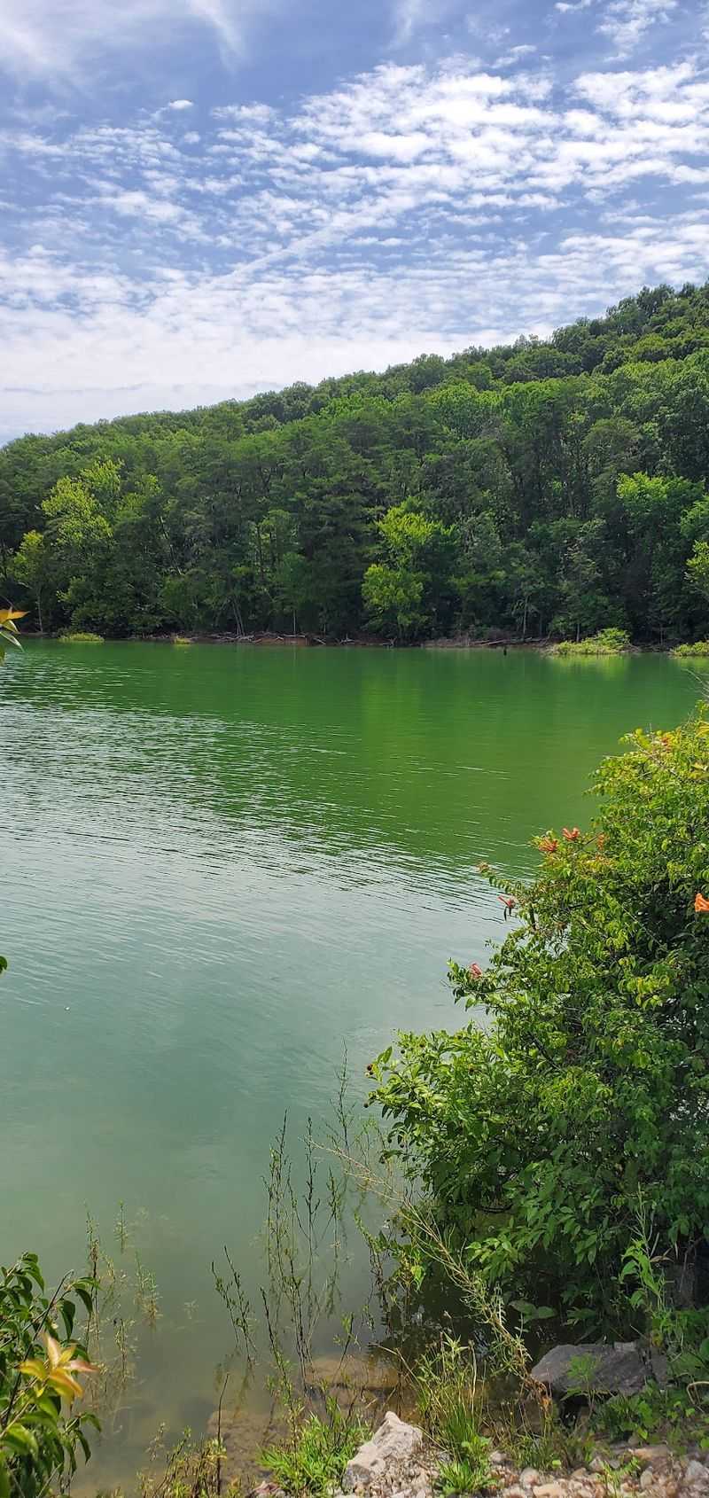 Camping Within Earshot Of The Water