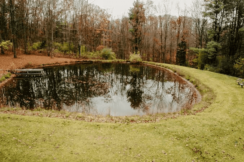Twenty Five Acres Of Pure Quiet