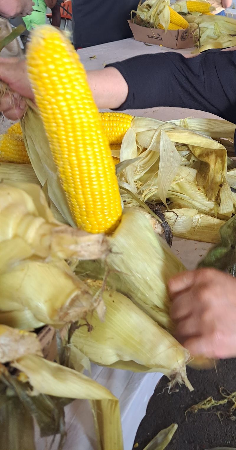 Corn So Good It Started A Tradition