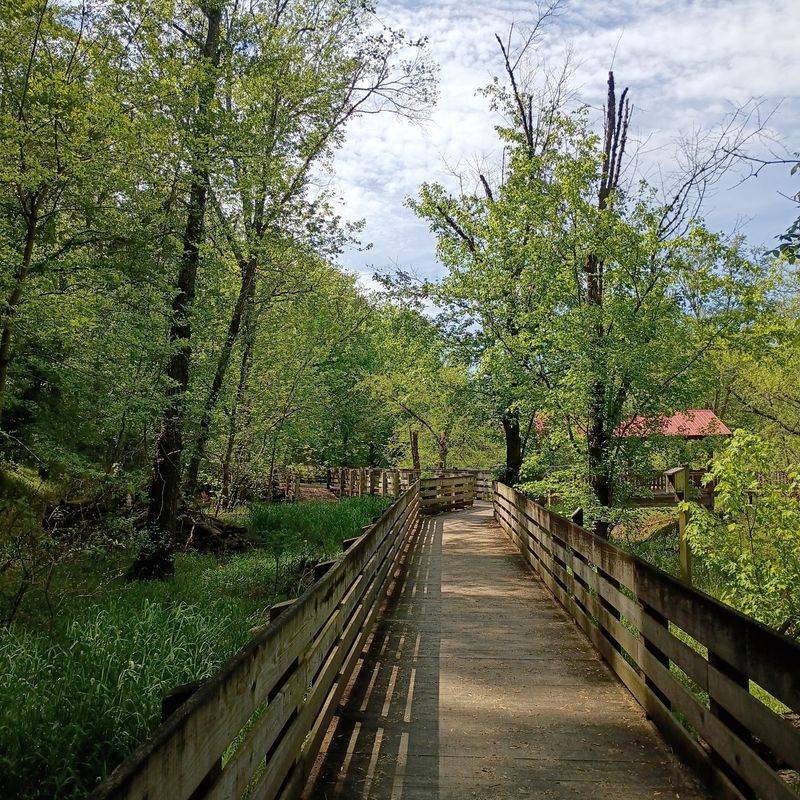 Explore Winding Riverside Trails