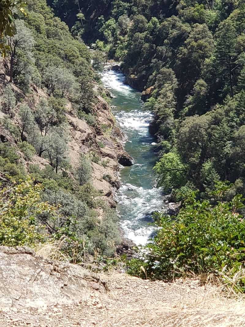 Salmon Runs Fill The Canyon