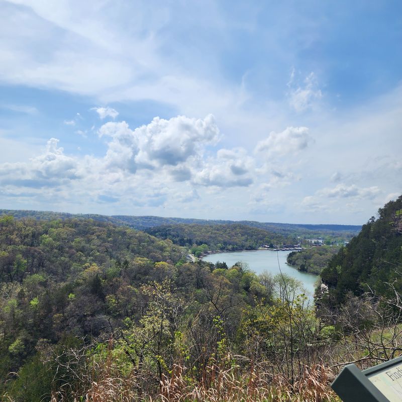 Natural Scenery Surrounding The Lake