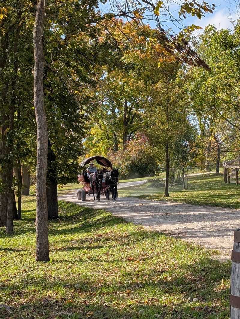 A Horse-Drawn Wagon Ride Sets The Mood