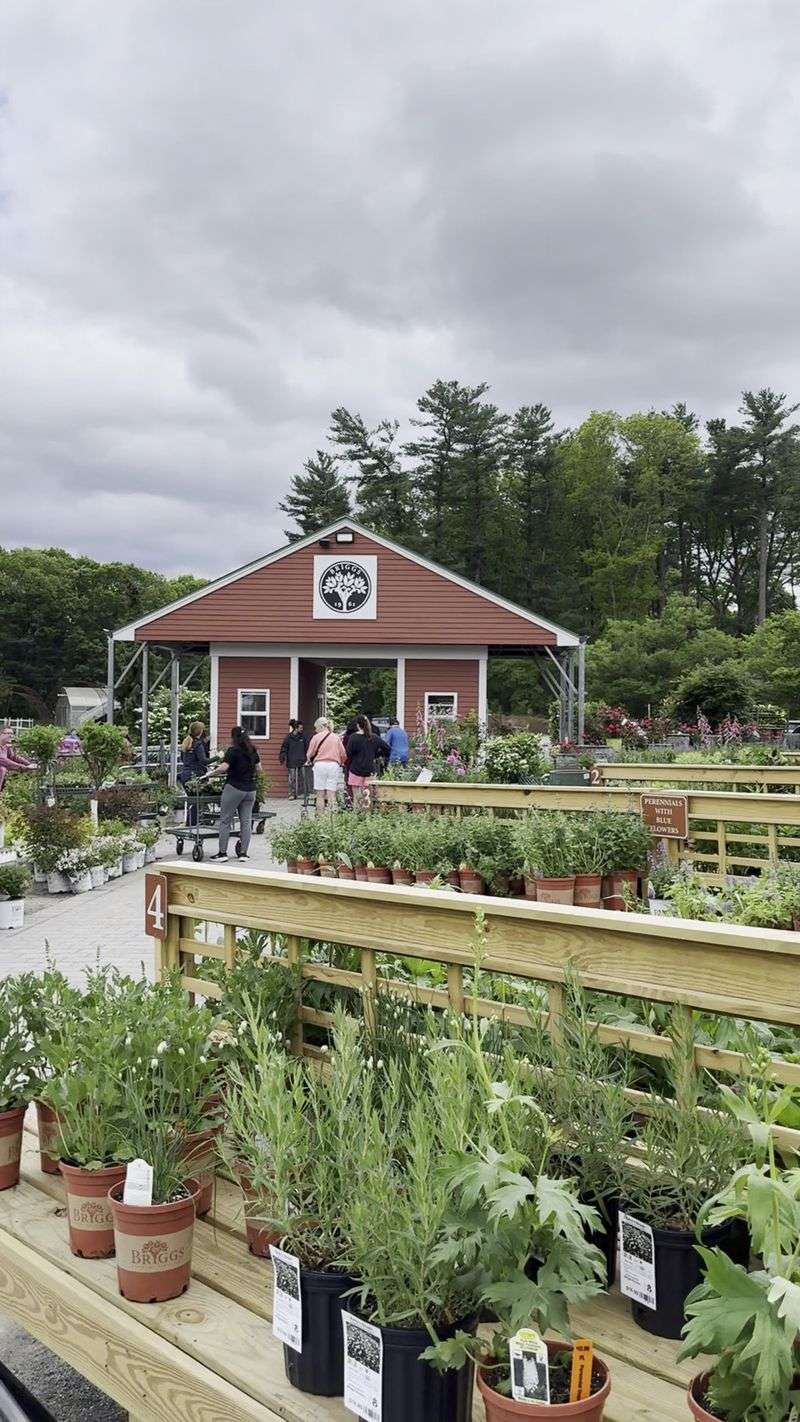 A Family Legacy That Took Root Back In 1960s