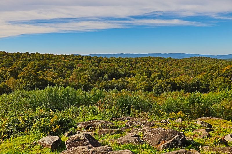 Massachusetts' Largest State Forest Is Bigger Than You Think
