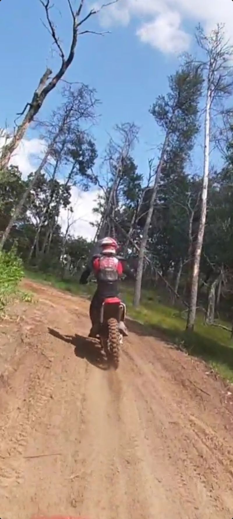 Miles Of Sandy Trails Winding Through Thick Forest