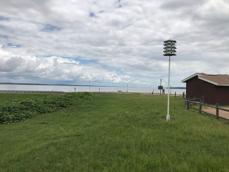 Scenic Views And Wildlife Along The Shoreline
