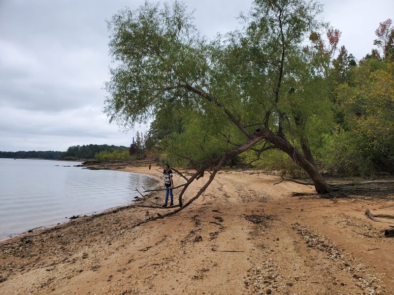 A Freshwater Shore That Feels Borrowed From The Coast