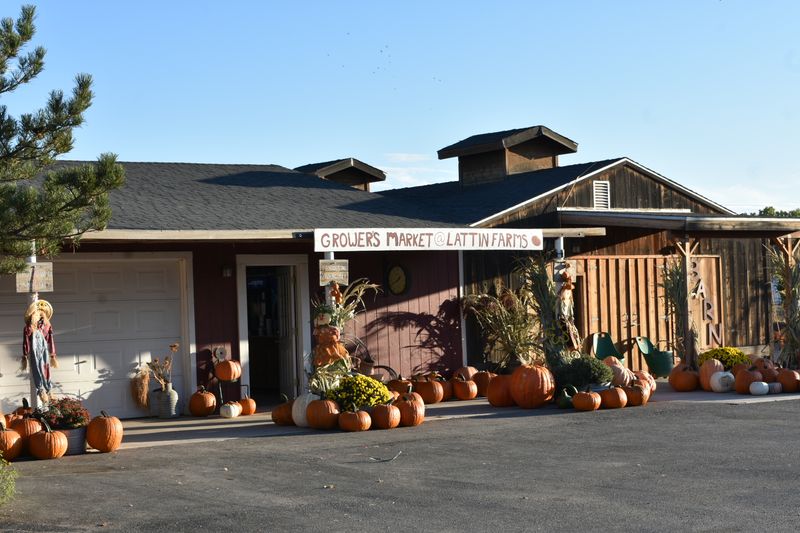 A Century Of Farming In The Lahontan Valley