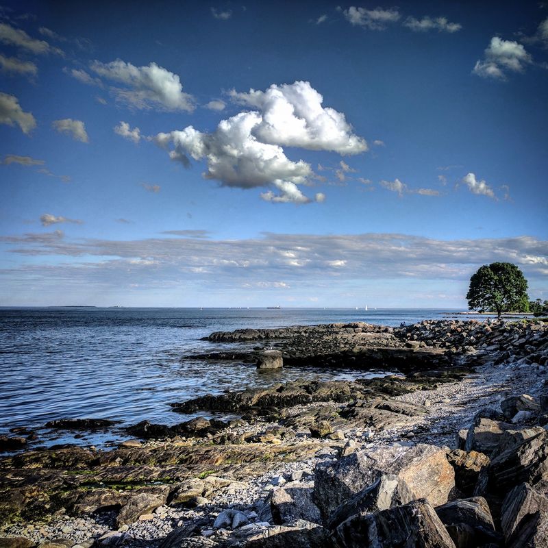 Exploring Coastal Wildlife Habitats