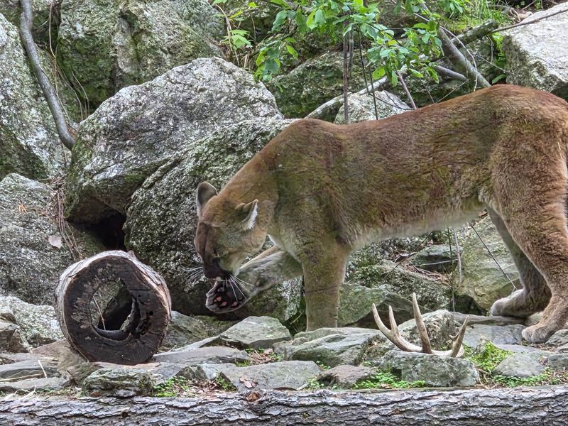 A Mile-Long Trail Where Wildlife Lives Front And Center