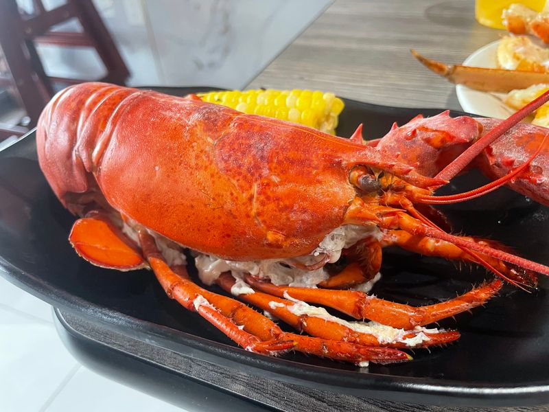 Lobster Moments Worth Watching For