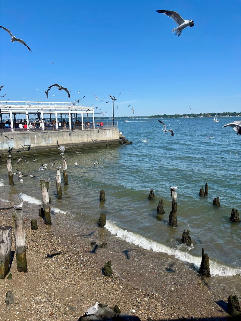 A Seaside Village Hiding Inside The Bronx