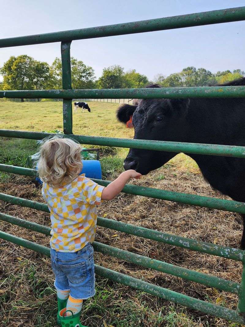 A Sanctuary Where Every Animal Stays For Good