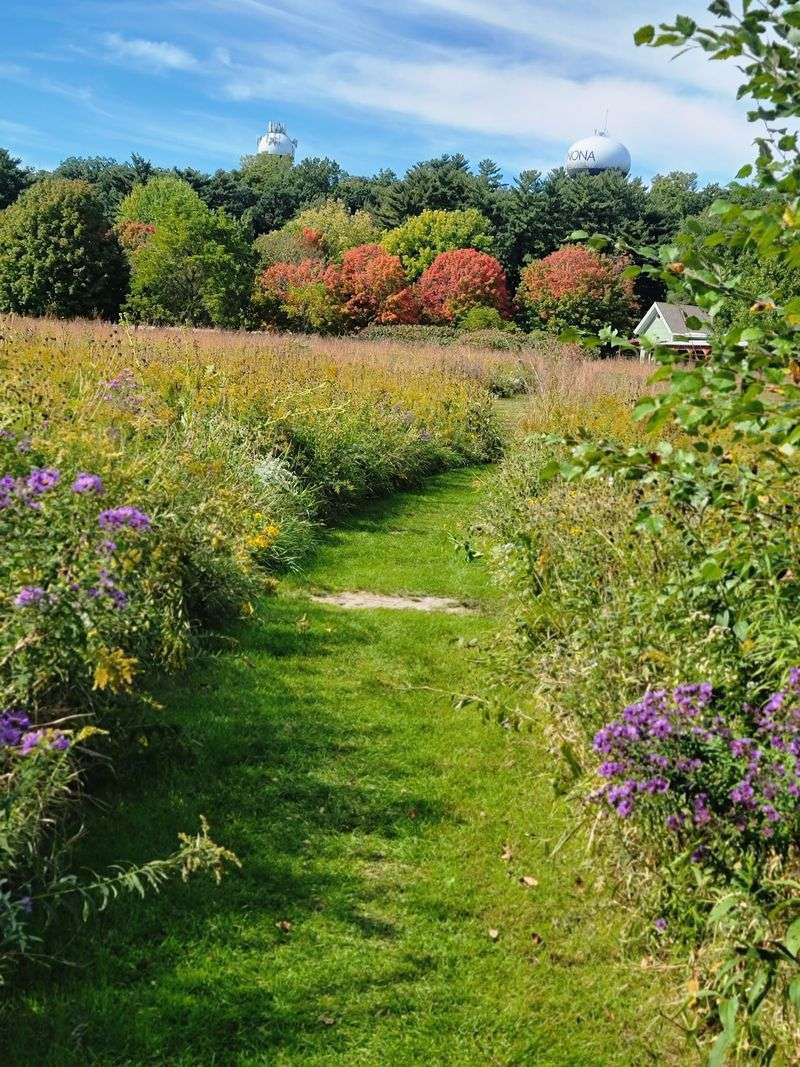 A Trail That Connects You To The Land