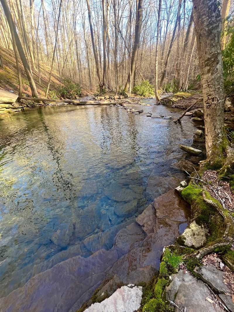 The Water That Steals The Show