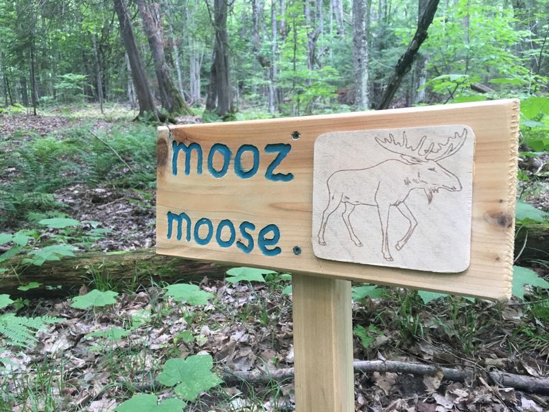 A First-Of-Its-Kind Park With A Powerful Backstory