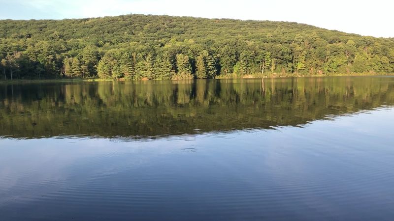 A Pond Built By Hand In The 1930s