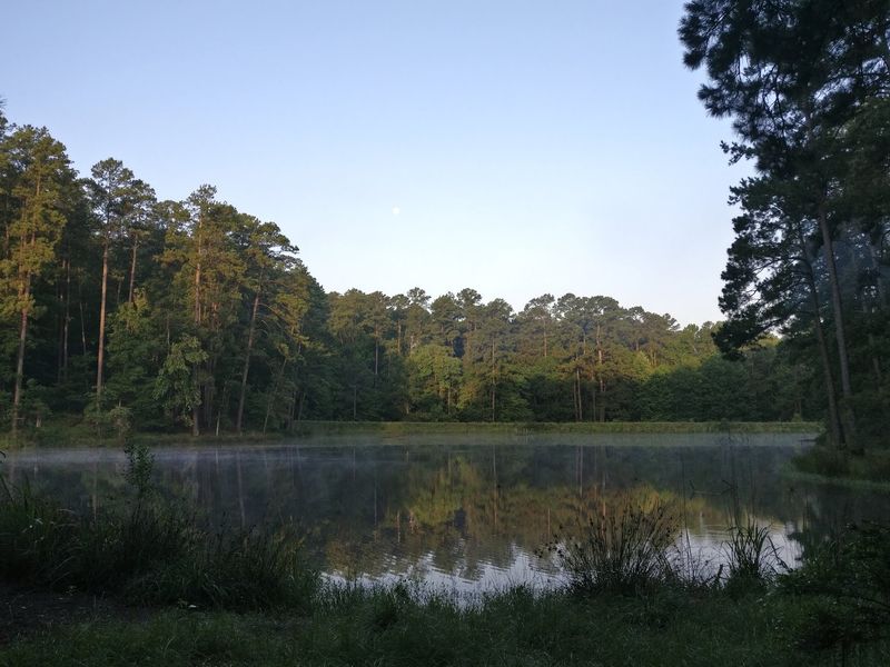 Unique Features Of Crystal Blue Water In Mississippi