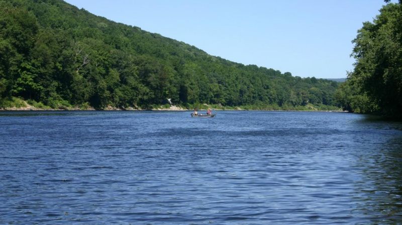 Scenic River Views And Wildlife Encounters