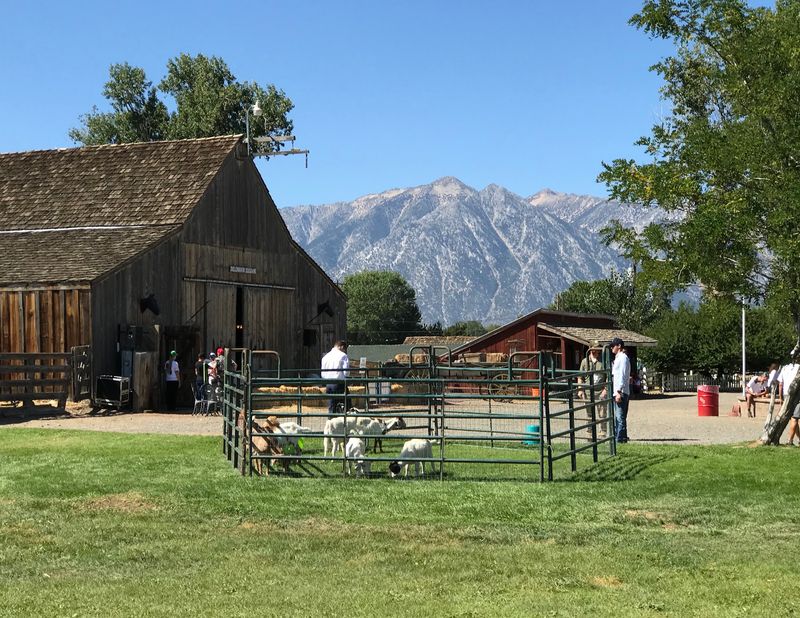 A Working Ranch With Deep Roots