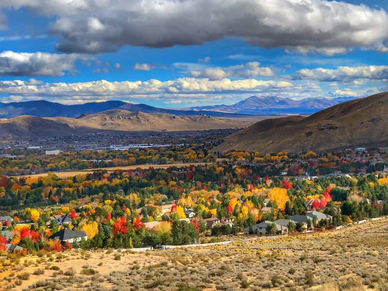The Frontier Roots That Built Carson City