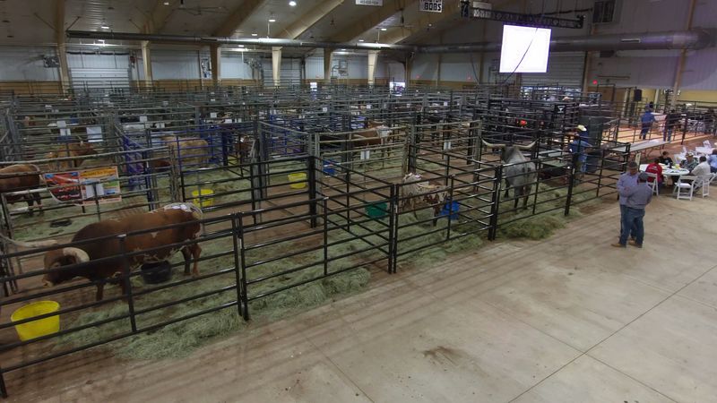 A Fair That Started Back In 1914
