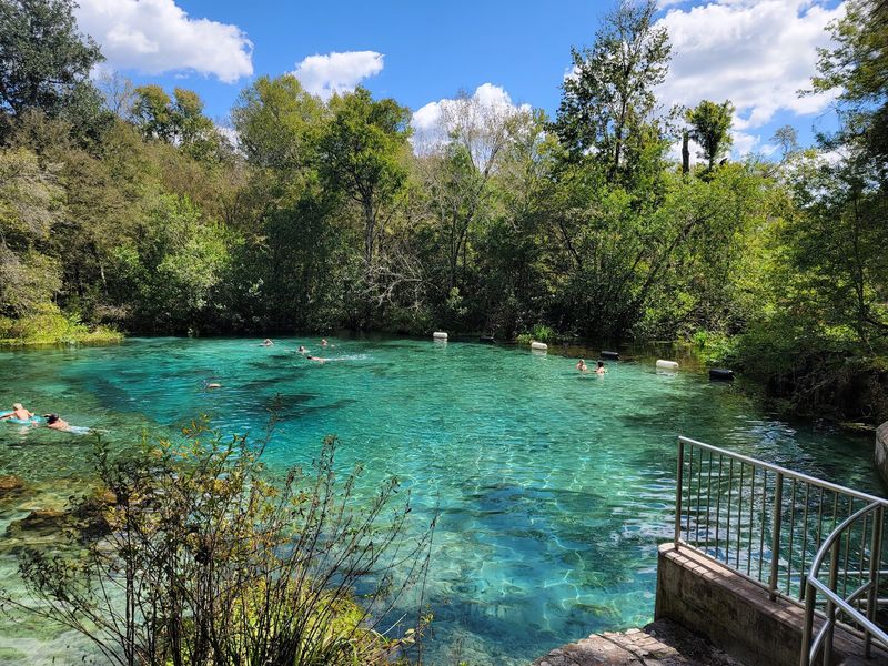 A River Born From Underground Springs
