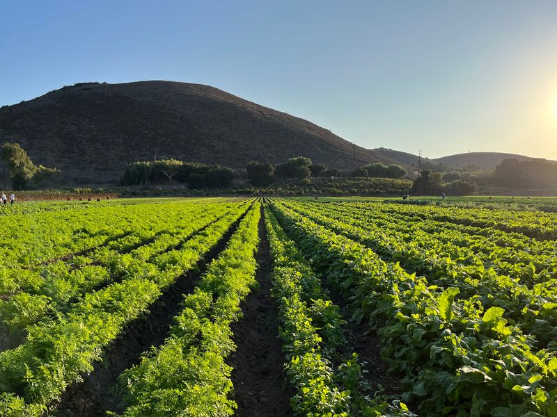 A Farming Family With Deep Roots