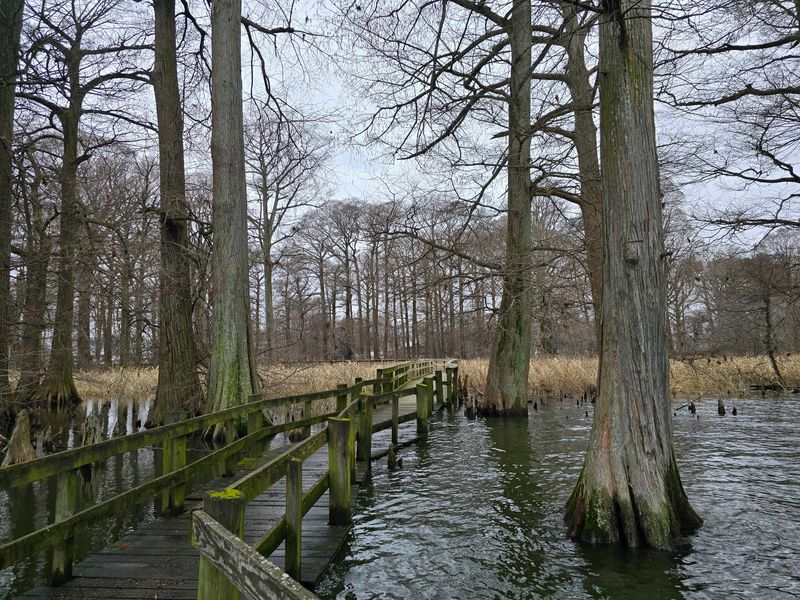 A Lake Shaken Into Existence By Earthquakes