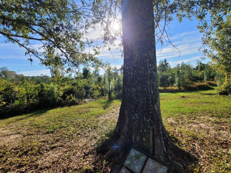 A Pine Belt Hideaway With Salt Air On The Horizon