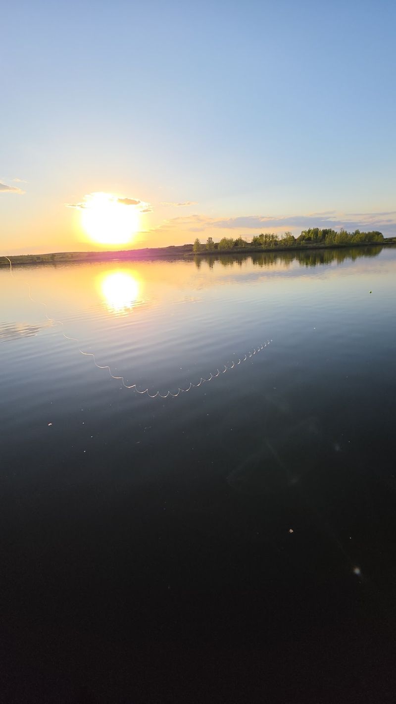 The Calm Water That Makes Paddling Feel Effortless