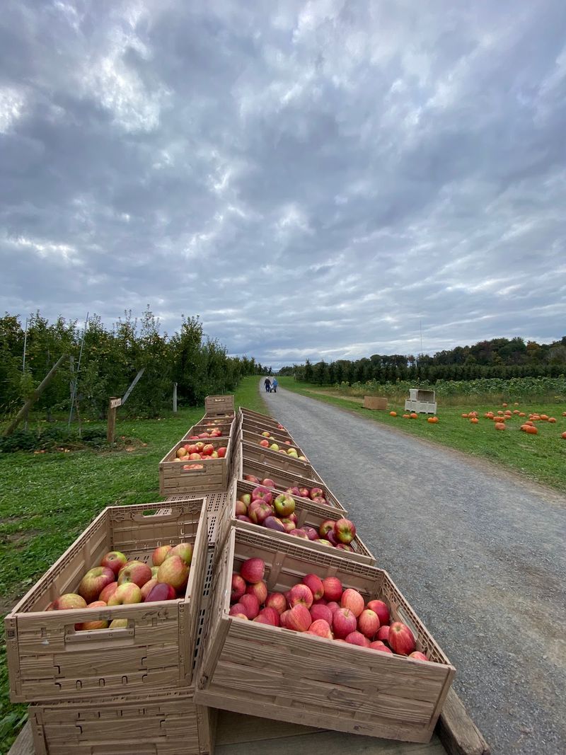A Farm That Earns Its Reputation Every Single Season