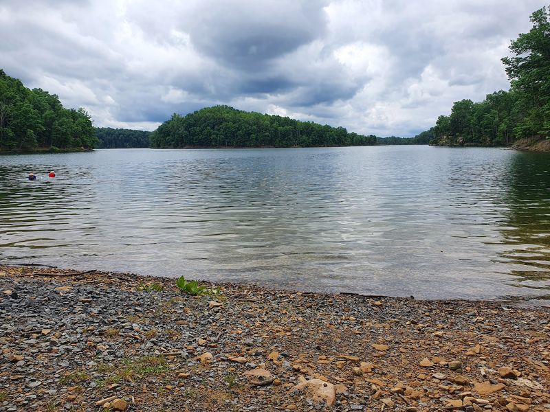 Common Snake Species In West Virginia Lakes