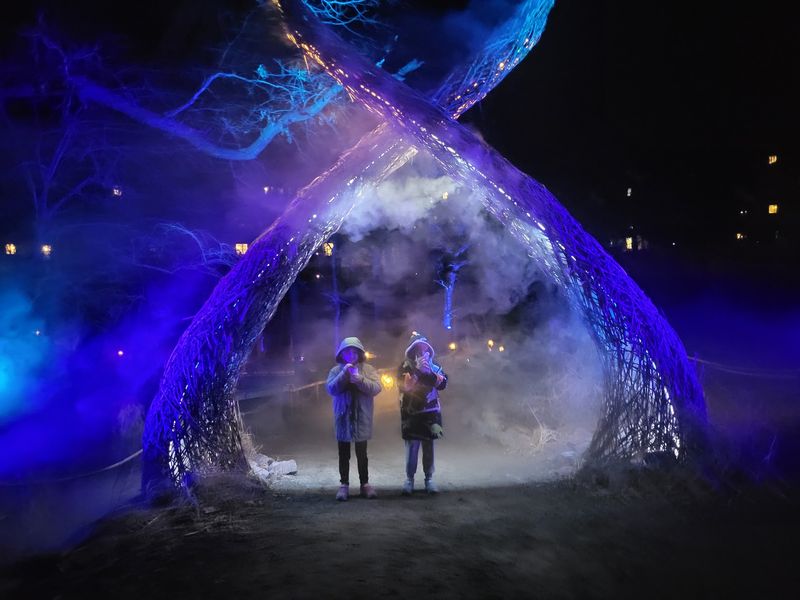 What Makes This Illuminated Water Trail So Unique