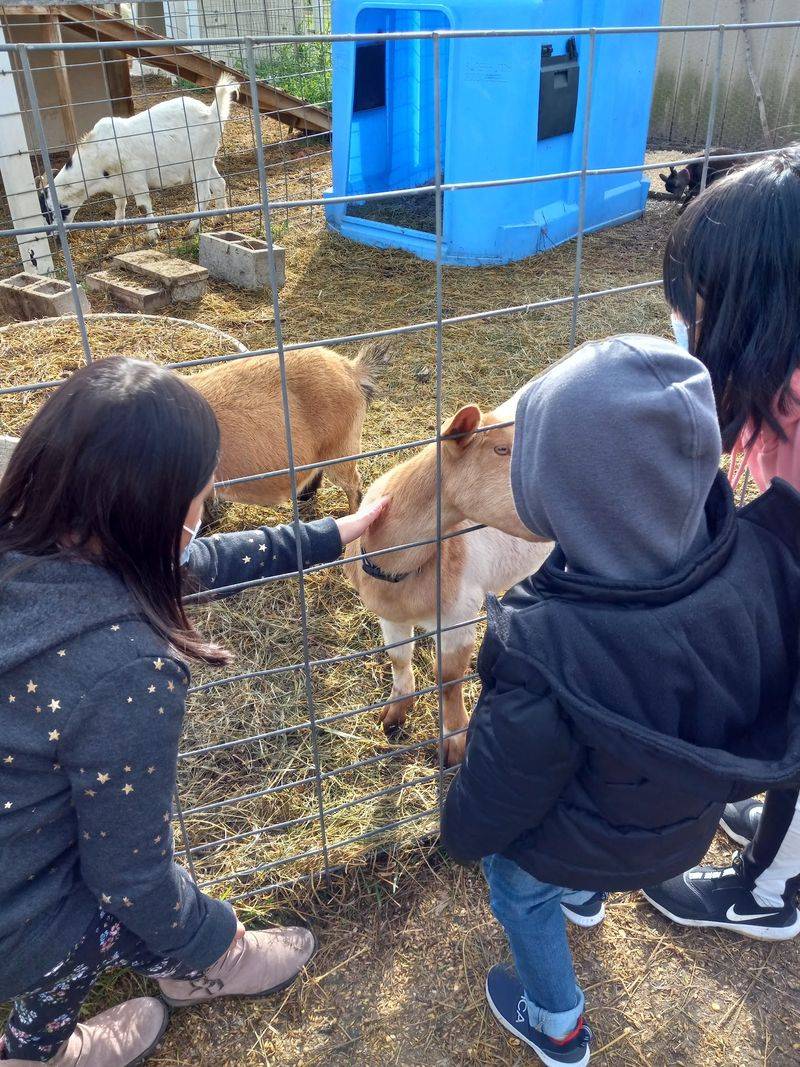 Free Admission Sets A Friendly Tone