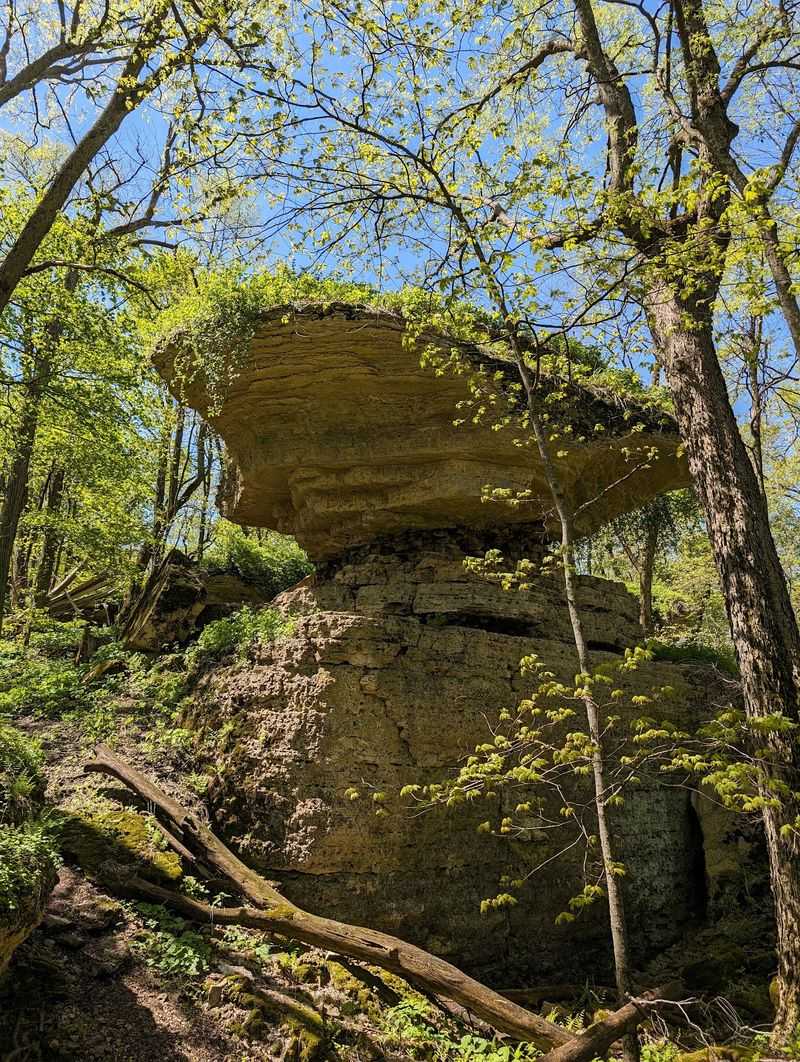 What Shaped This Scenic Mound