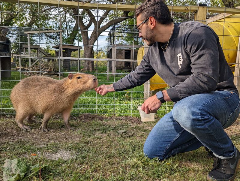 An Up-Close Animal Experience